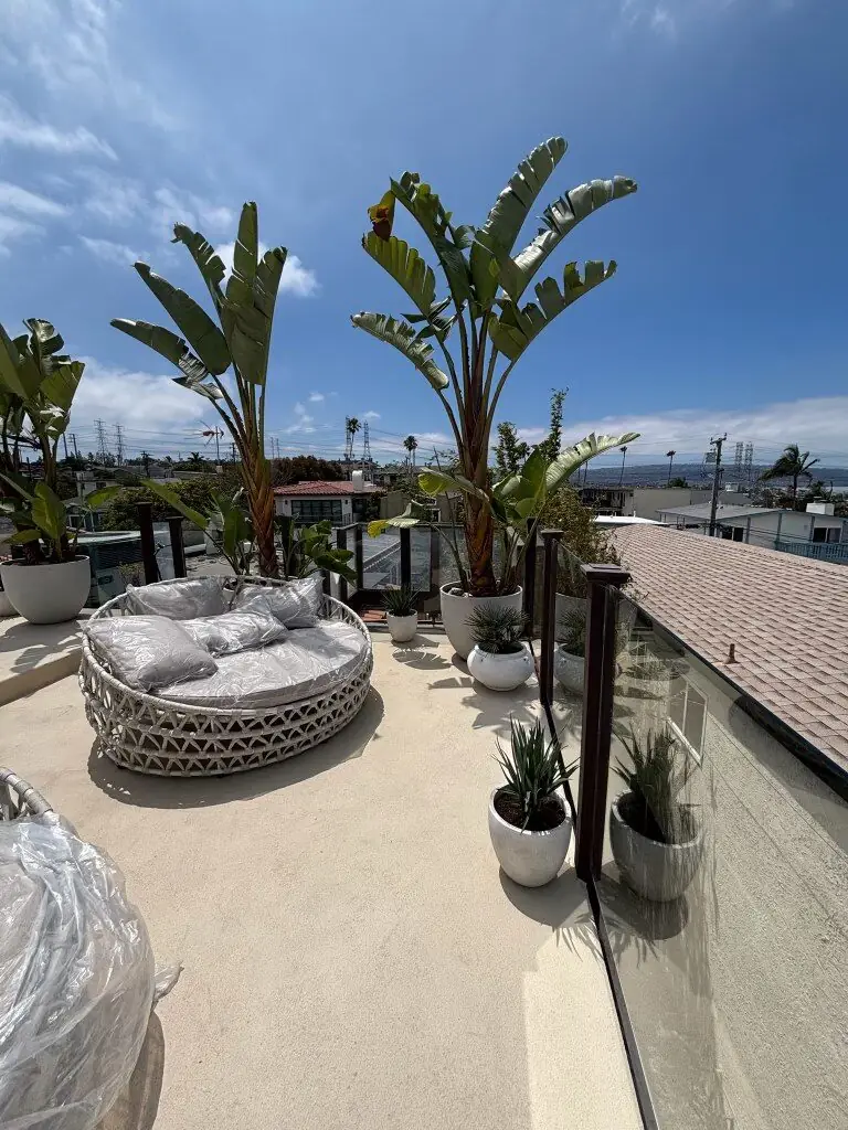 Rooftop planter installation with palm trees and tropical plants by Operational Gardener, a veteran-owned landscaping company serving Southern California