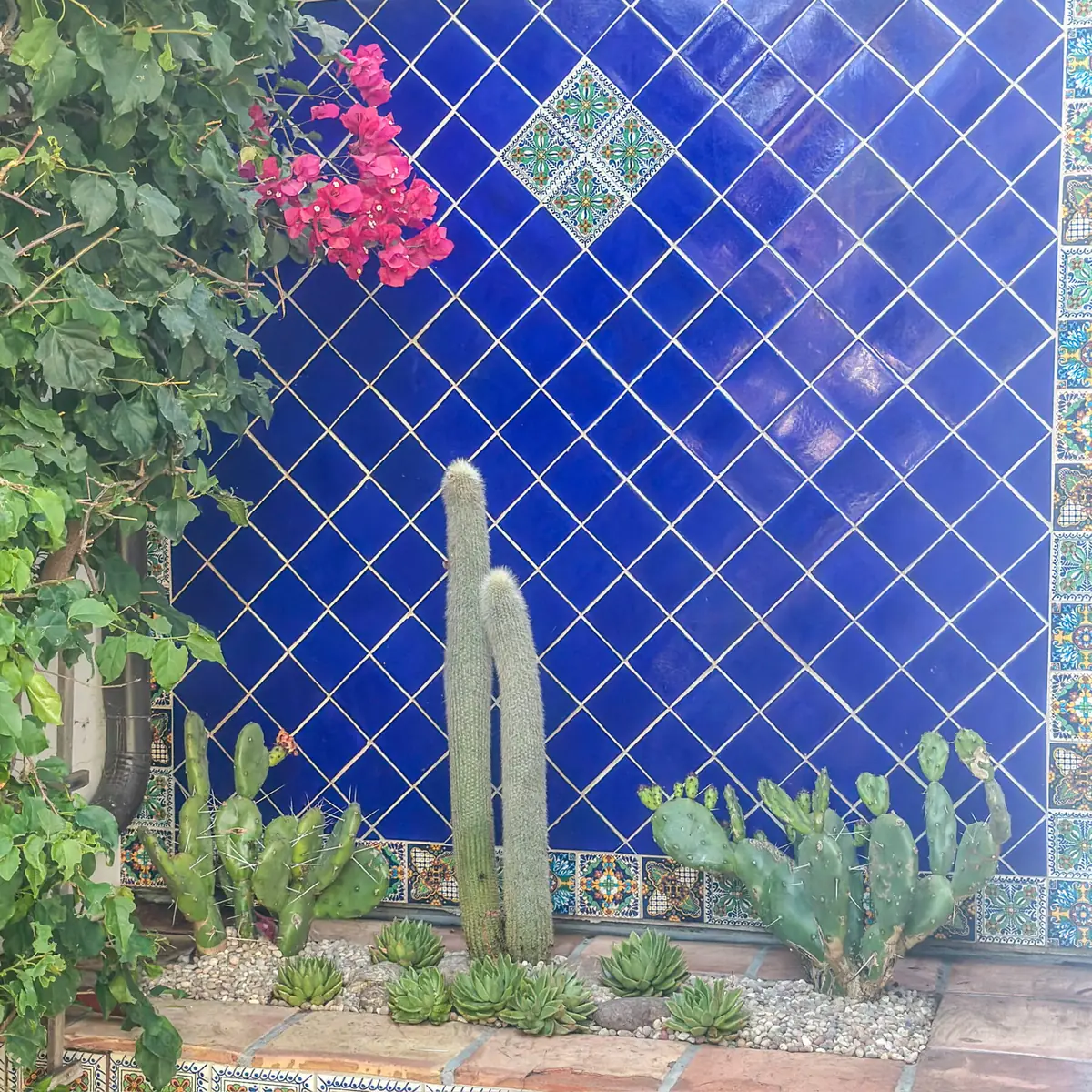 Cobalt tiled wall with Talavera accents framing a cactus and succulent planting bed — Operational Gardener veteran-owned landscaping in Marina del Rey, CA