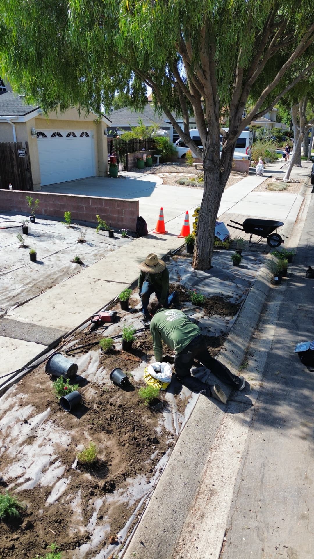 Aerial view of the crew installing drought-tolerant plants and weed block in a front yard